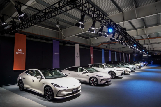 2025年强势开局：VSport-胜利因您更精彩的转型密码与跃迁之道
