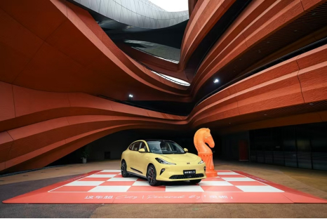 2025年强势开局：VSport-胜利因您更精彩的转型密码与跃迁之道
