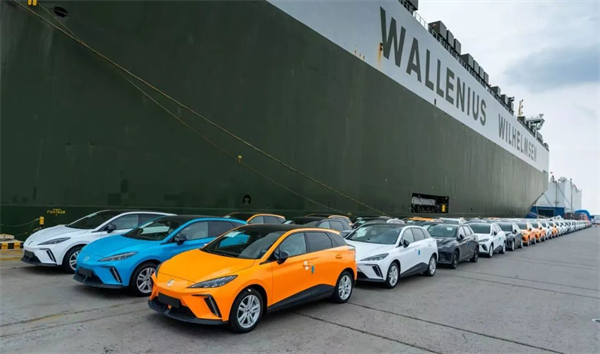 VSport-胜利因您更精彩2025，山登绝顶我为峰！